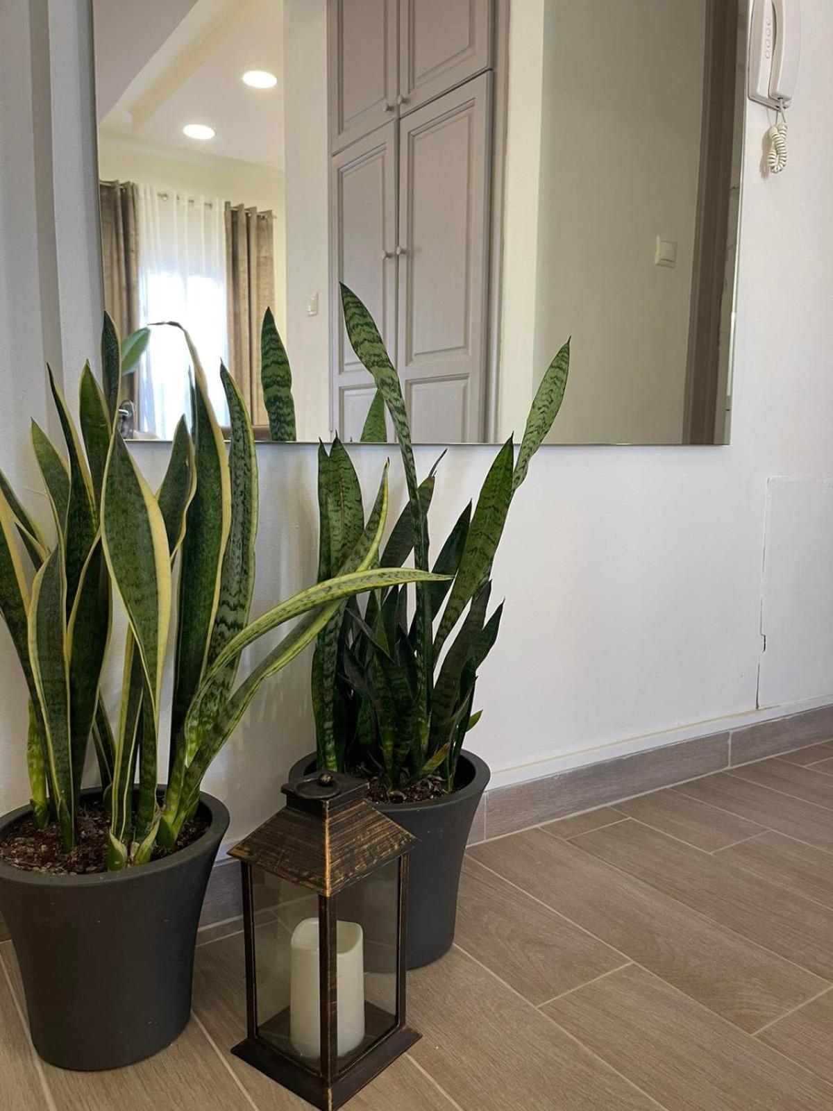 Apartament Andromachi 2 Wolos Zewnętrze zdjęcie